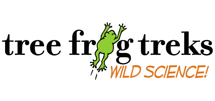 tree frog treks sf