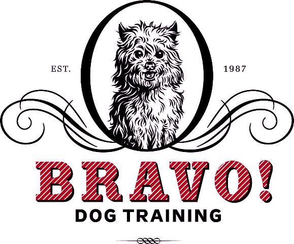 bravo dog training