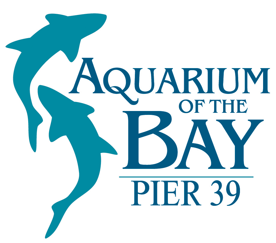 Octopalooza at Aquarium of the Bay in San Francisco - February 23, 2014 ...