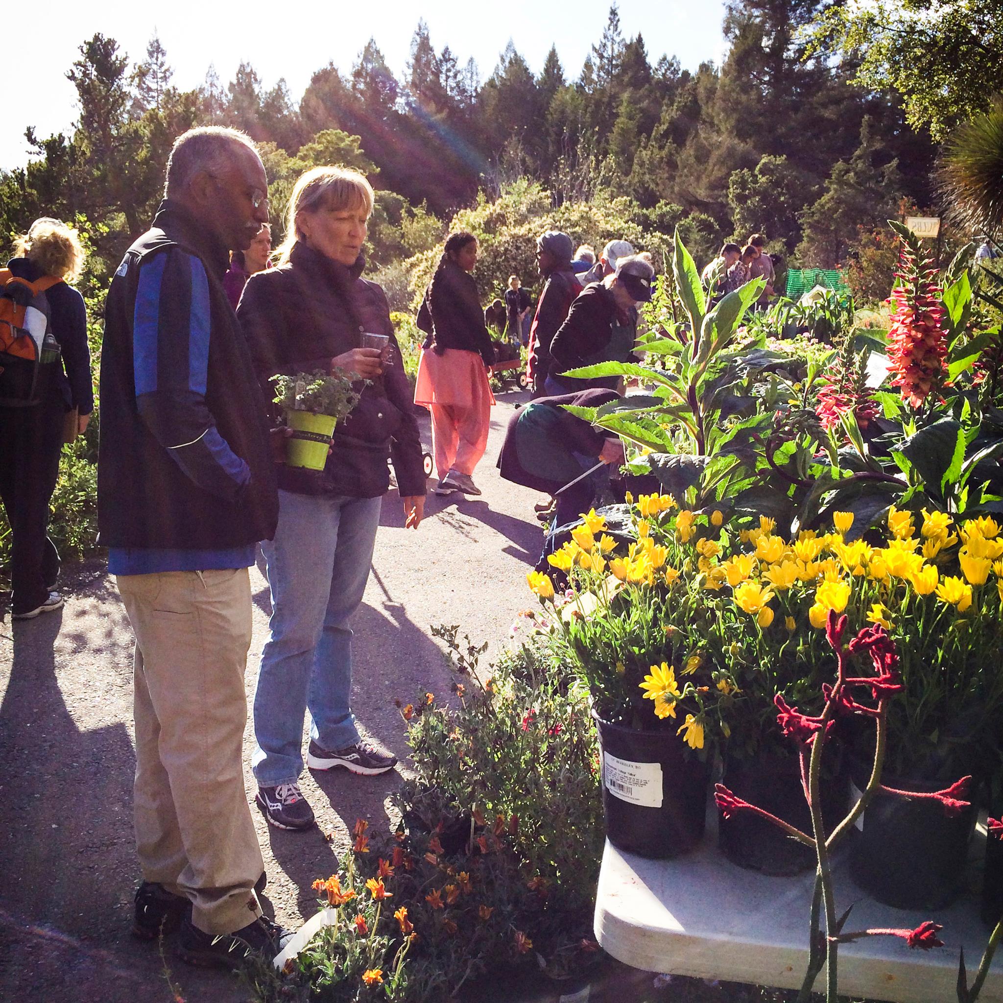 Free First Wednesday at UC Botanical Garden at UC ...