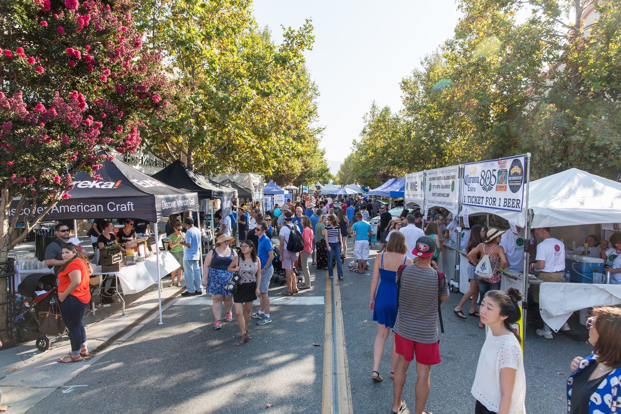 50th Mountain View Art & Wine Festival, A Festival Like No Other at