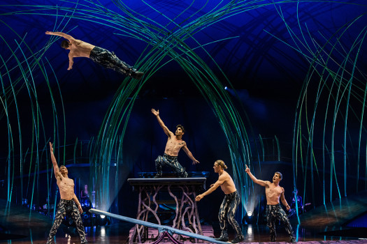 Cirque Du Soleil Sf Seating Chart