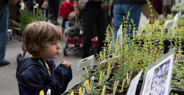 ucb-plant-sale