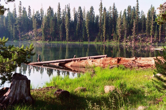 us-forest-service-lassen-national