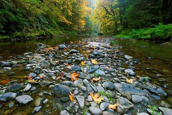 fall-castateparks